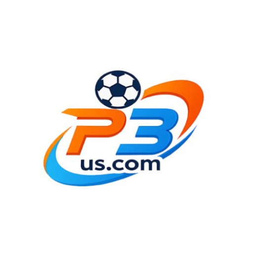 p3 .