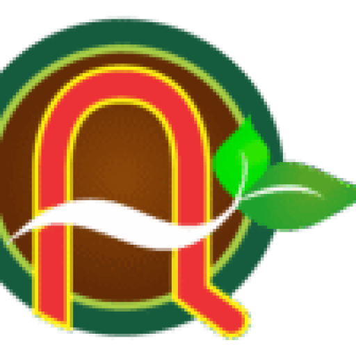 Macca Anh Quốc