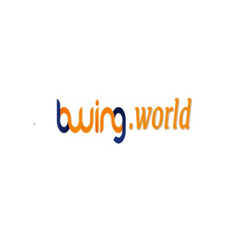 Bwing world