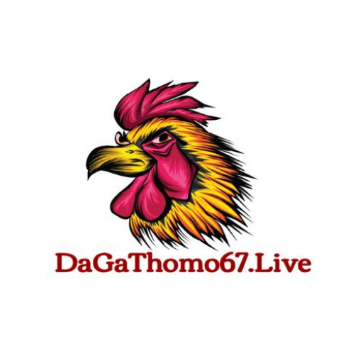 ĐÁ GÀ THOMO live