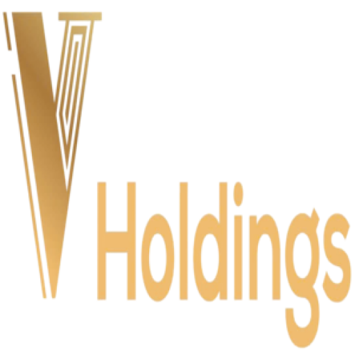 Vㅤ Holdings