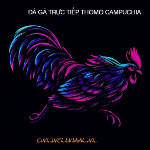 ĐÁ GÀ TRỰC TIẾP