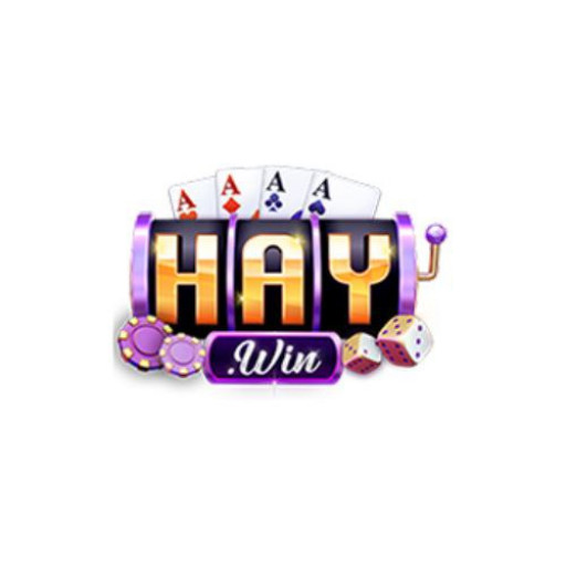 HAYWIN Review