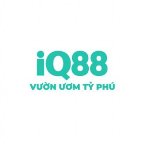 IQ88 one