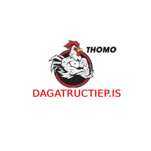 ĐÁ GÀ TRỰC TIẾP IS