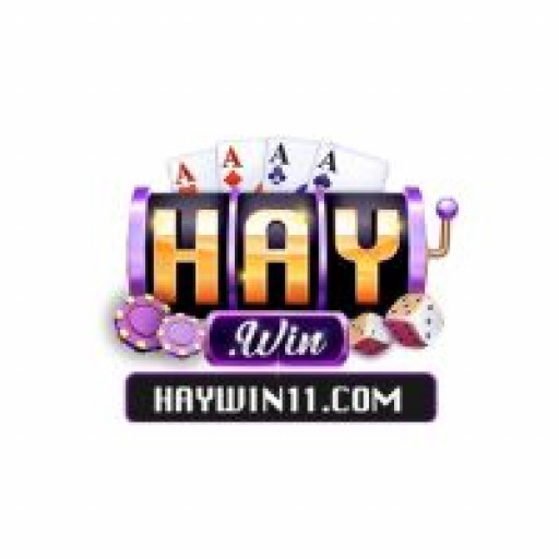 HAYWIN 11COMs