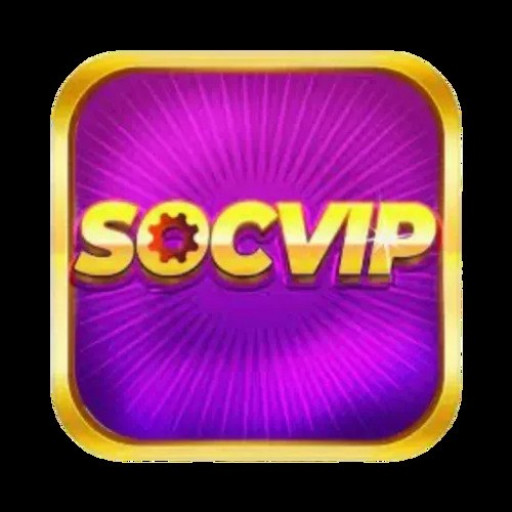 SocVip 1org