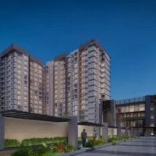 Purva Northernlights