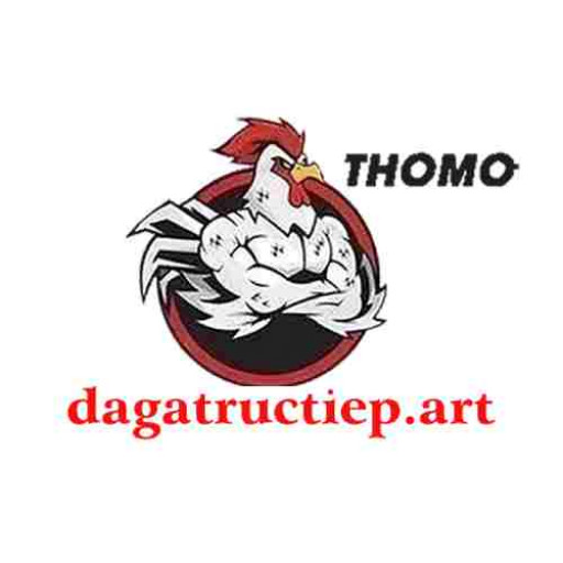 ĐÁ GÀ TRỰC TIẾP ART