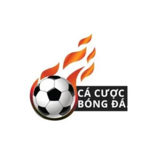 Cá Cược Bóng Đá