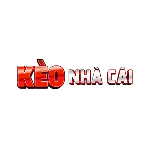 CEO maianhtaikeonhacai
