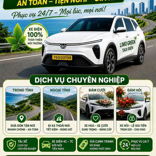 Taxi Điện Quảng Ngãi