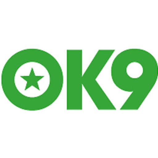 ok9 com