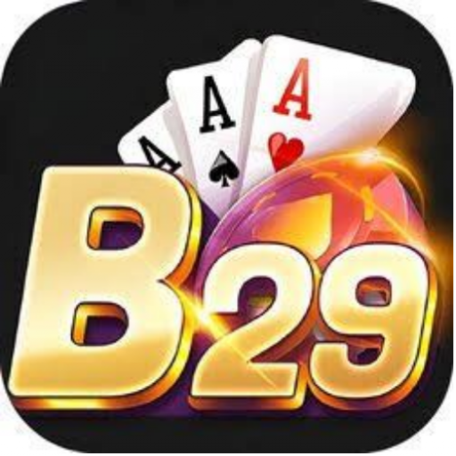 B29 jp net