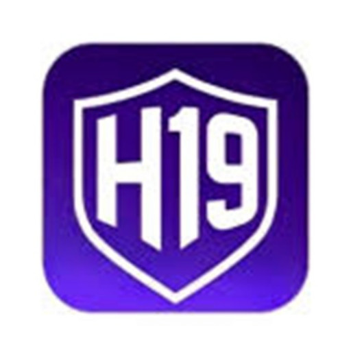 H 19