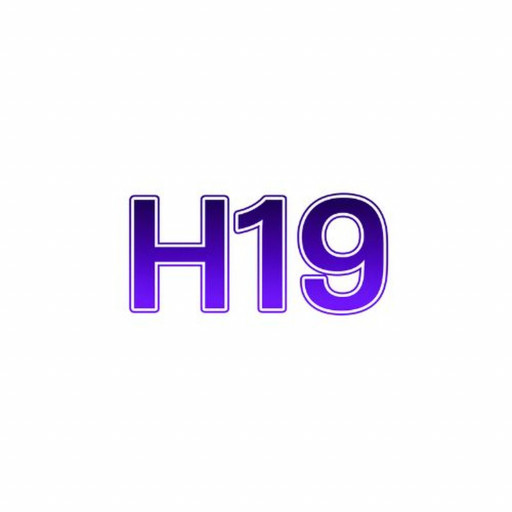 H19vi net