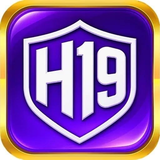 H 19